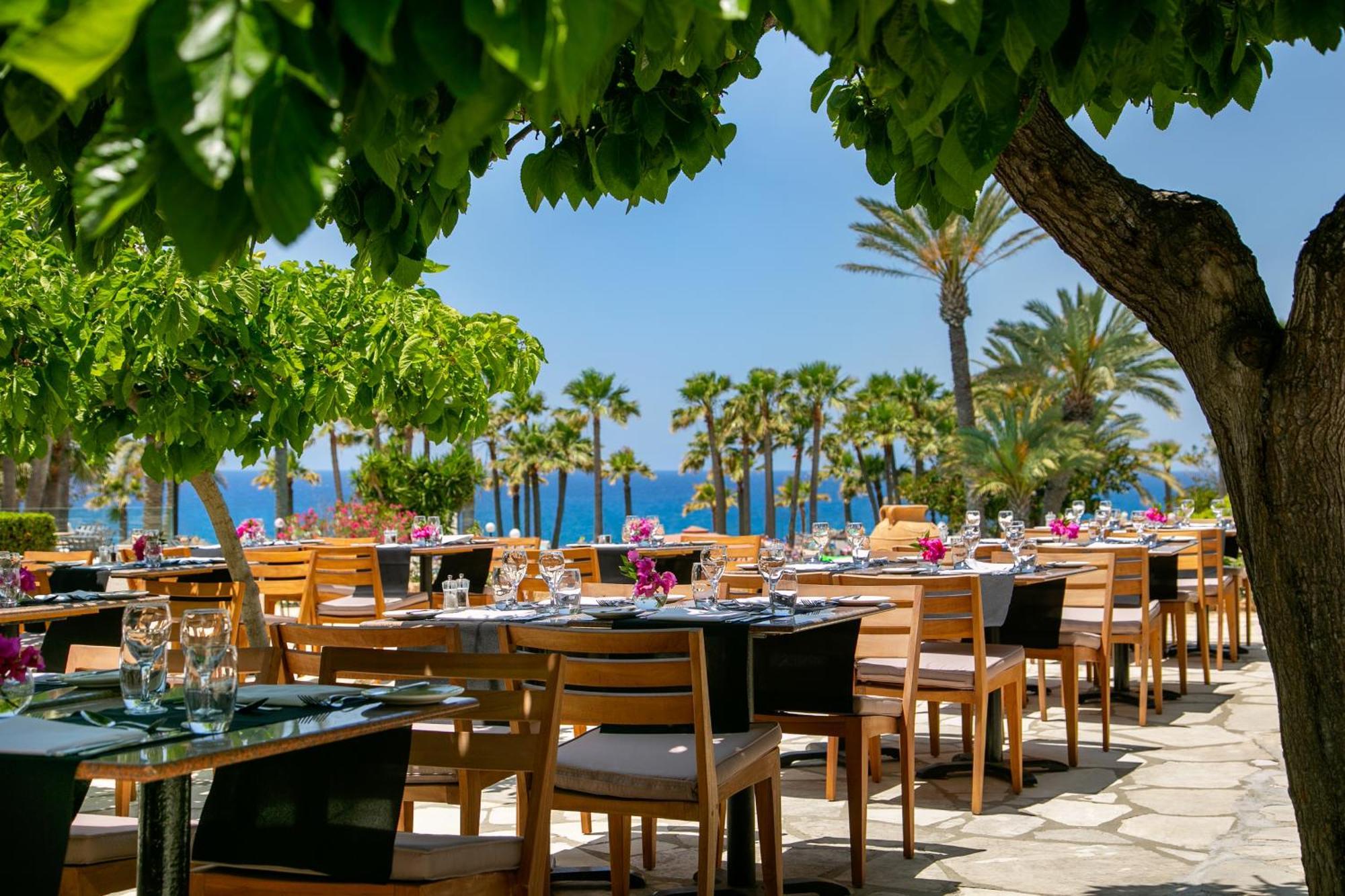 Azia & Hotel Paphos